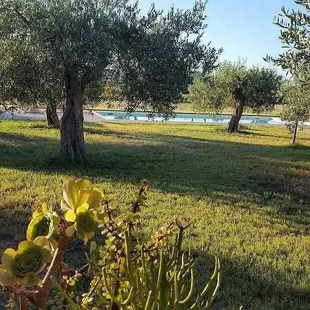 Le Di Anna E Carla 3*