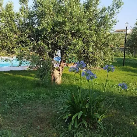 Le Di Anna E Carla Πανσιόν 3*